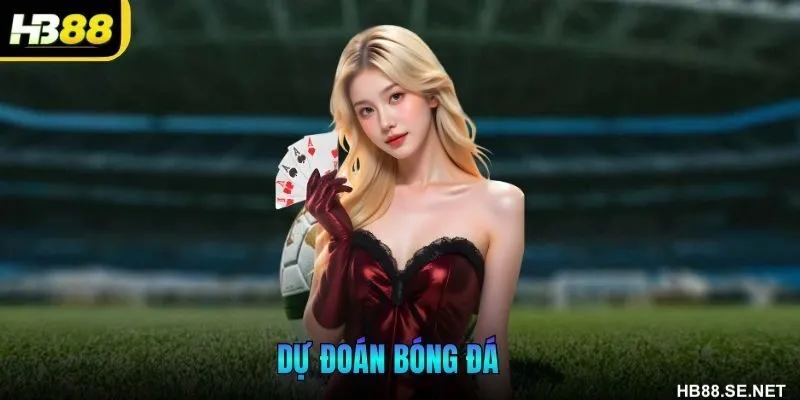 Dự Đoán Bóng Đá HB88 Soi Kèo Chuẩn, Tỷ Lệ Thắng Cao